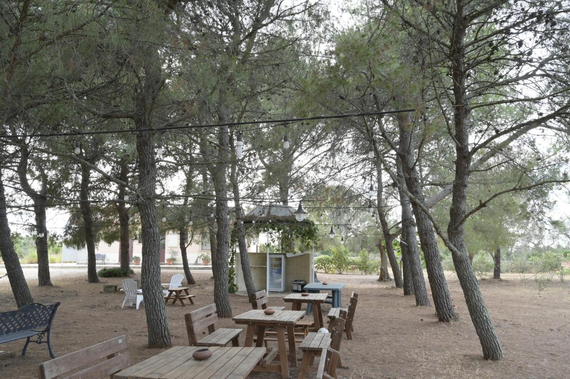 Villa Delle Palme Trepuzzi Buitenkant foto